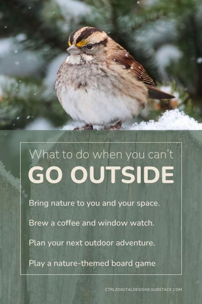 Image provides four tips for when you can't go outside: bring nature to your space, brew a coffee and watch the birds, plan your next outdoor adventure, play a nature-themed board game
